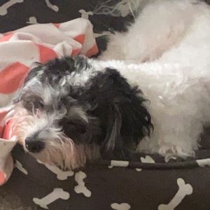 Meet your Posher, Sade